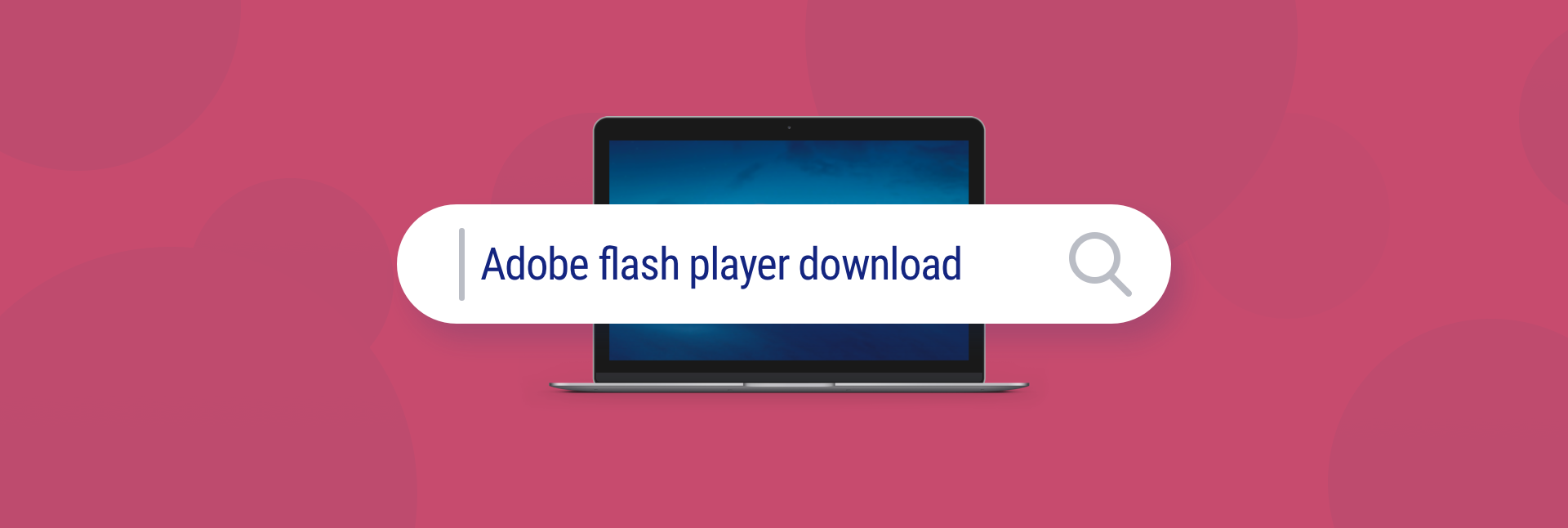 check adobe flash player for mac